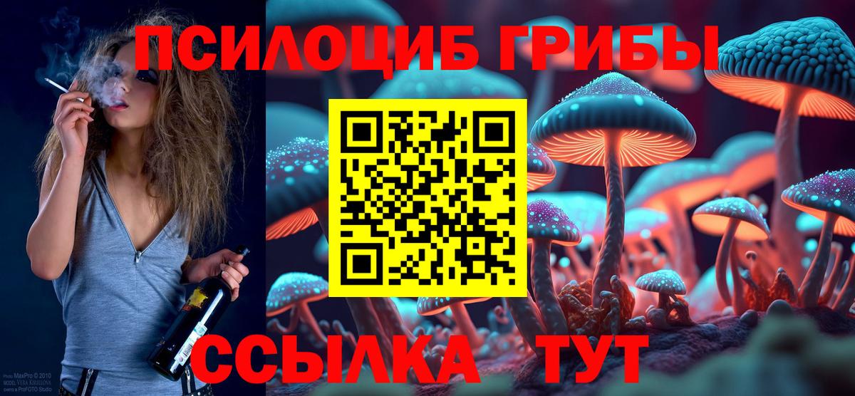Галлюциногенные грибы Psilocybe  Вход с VPN  Партизанск  Галлюциногенные грибы Psilocybe 
